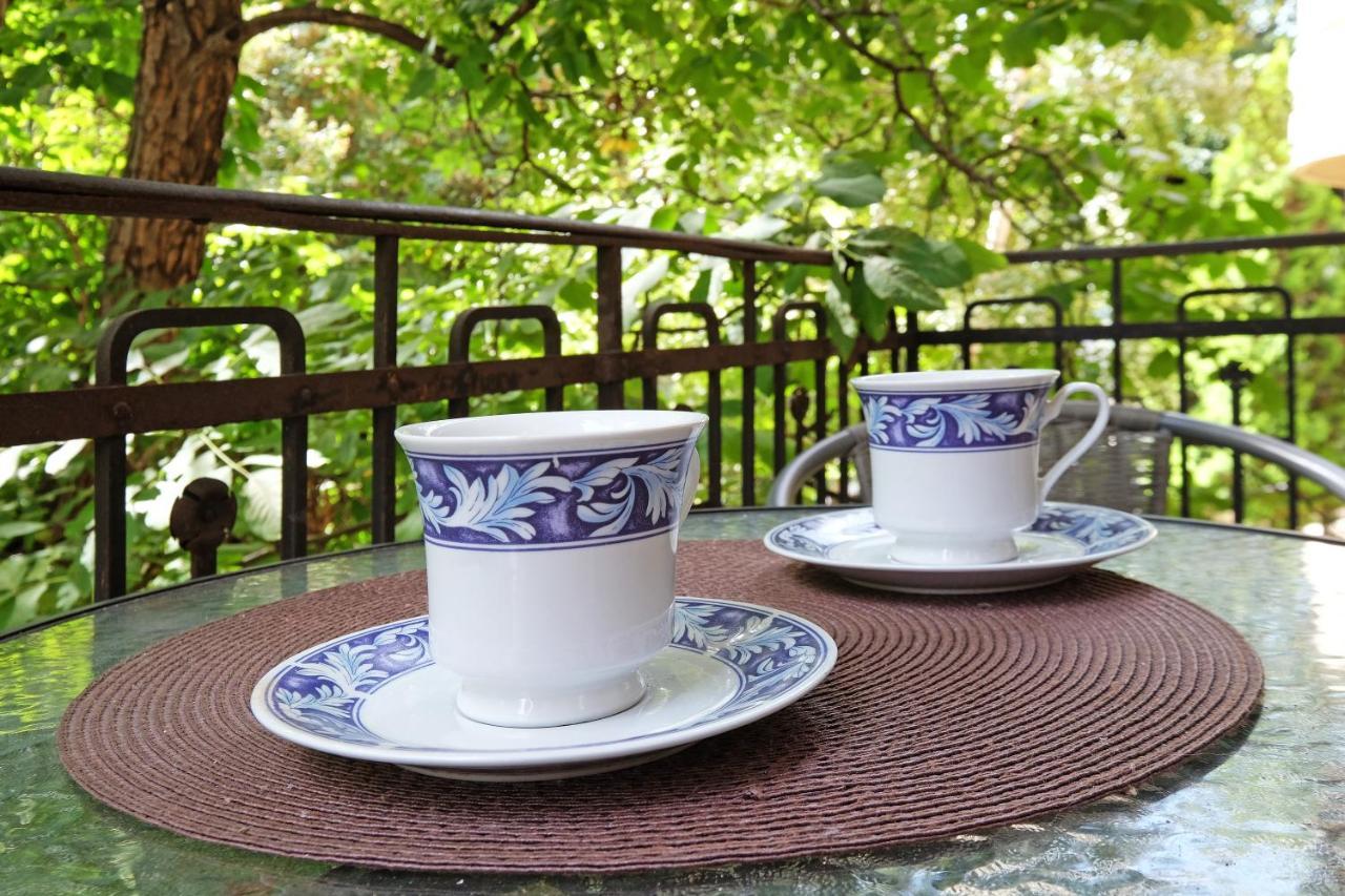 Apartment Paradise Sunny Home 贝尔格莱德 外观 照片